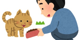 家の駐車場でバイクいじってたら野良猫が数匹、衰弱した子猫を連れてきてかなりの圧で私に「面倒見て」と言わんばかりに預けていった