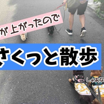 今いかねば。