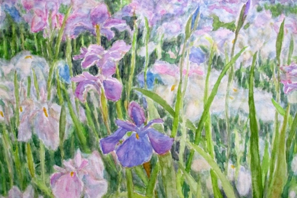 絵画「あやめ摘む」 水彩画 やよいのギャラリーブログ - 水彩画