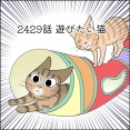 あんこ＆麦2429 遊びたかったのは