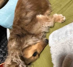 謎のポーズ