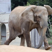 激怒プンプン丸な姉妹