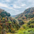 大分県九重の紅葉2025・大好きな温泉は独泉でした
