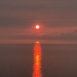 �ز���������2025 vol.2 ���ߥ���ѻ���������˺�����Ӥơ٤β���