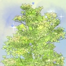 『死』という未知の世界に対する意識（【ドウダンツツジと友人】まとめ：２９）