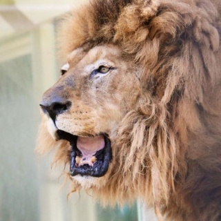 ミズガメかんかん娘☆乙女ちっく２