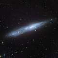TASC-on リコリモ（16）ちょうこくしつ座の銀河 NGC55