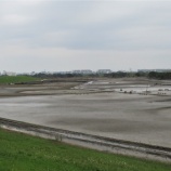 『Ａ地区、Ｃ地区でヘドロの除去作業が進んでいます』の画像