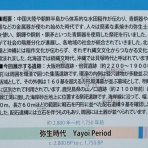 泉城の古代日記　コダイアリー