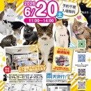 ６月１４日（日）の里親会報告