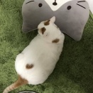 子供を連れて義実家に行くと、近所のマンションに住んでる義妹がなぜか必ずいる。義妹は子供が嫌いな人らしく、行くと子供にとても厳しい態度を取ってきて…