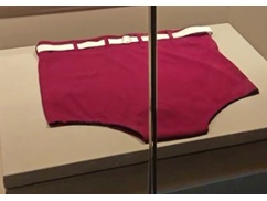 【画像】中国の国宝、毛沢東の使用済みのパンツが良いニオイがしそう