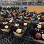 yuika～結花～Hanayoshiの毎日