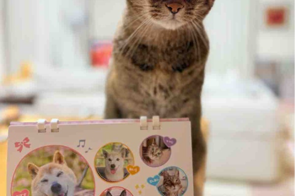 【kabochan様ご予約】 かぼすちゃんとおさんぽ。 Powered by ライブドアブログ