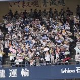『マジョリティにしてマイノリティの「応援団」』の画像