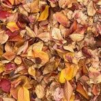 自分にとってほどよい量