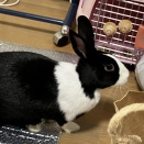 やられた。。。