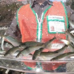 神流川－南甘漁業協同組合－事務局のブログ