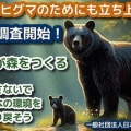 【悲報】秋田の猟師、脱走したヒグマを命懸けで駆除させられたお礼がタオルだったことに悲しみを覚える