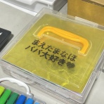 DMR-Japan