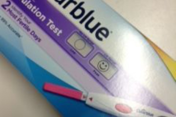 自宅仕事女のひっそり妊活 排卵検査薬