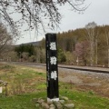 塩狩峠に桜ほころぶ