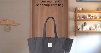 大人気ロングセラー『保冷できるレジカゴ用バッグ』しっかり自立するから詰めるも出すもスムーズ！-PR-