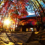 『2025.11 曹源寺『紅葉狩りｽﾎﾟｯﾄ』➁ / 岡山市中区円山』の画像