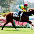 占い競馬予想　朝日杯フューチュリティステークス