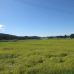 秋田の地酒『郷のたより』