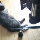動いちゃダメ！！