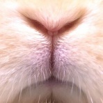 うのくらし