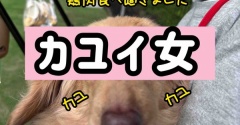 今日は何の日？