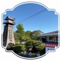 長崎県大村公園の花菖蒲