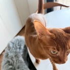 朝の抱っこ渋滞