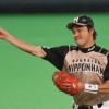 金子誠とかいう低くて厚いショートの壁を乗り越えられなかったハムの選手で打線組んだ