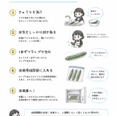 きゅうりは丸ごと冷凍できます！と、今日のおべんとう