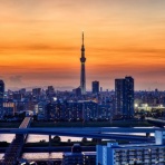 東京スカイツリー定点観測所