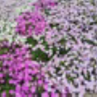 ペナンでロングステイ