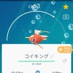 【険しいホン】Armor6買ってみた。