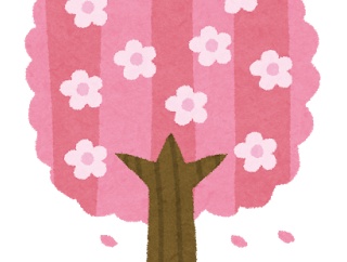 韓国人「別に桜が舞う日本の風景なんか全然きれいじゃないですから」