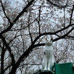昼猫夜猫別館新棟