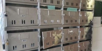 結婚していないのに奥さんがウワキしていますと手紙と写真が送られてきたのですが…