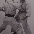 型…太極その１