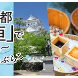 『岐阜県 大垣市 の看護師、常勤・派遣・非常勤・パート・委託求人』の画像