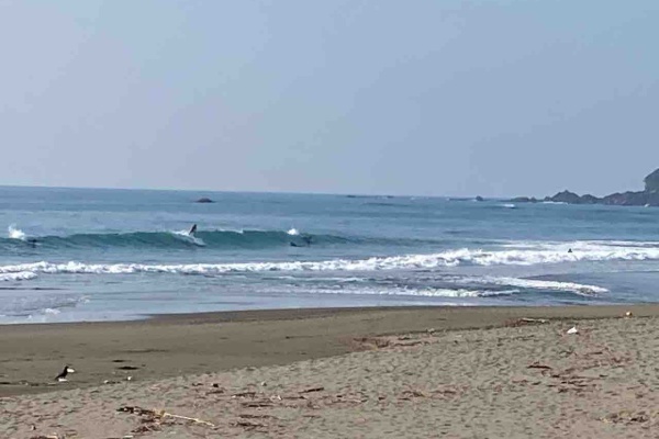 Faith Surf フェイスサーフ
