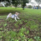 愛犬と一緒に舎人公園でピクニック。*\(^o^)/*