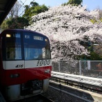 ohanefu　blog　 ～snap photo～