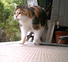 近所の現場　後編