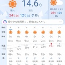 朝8kmジョグ、夜400m15本